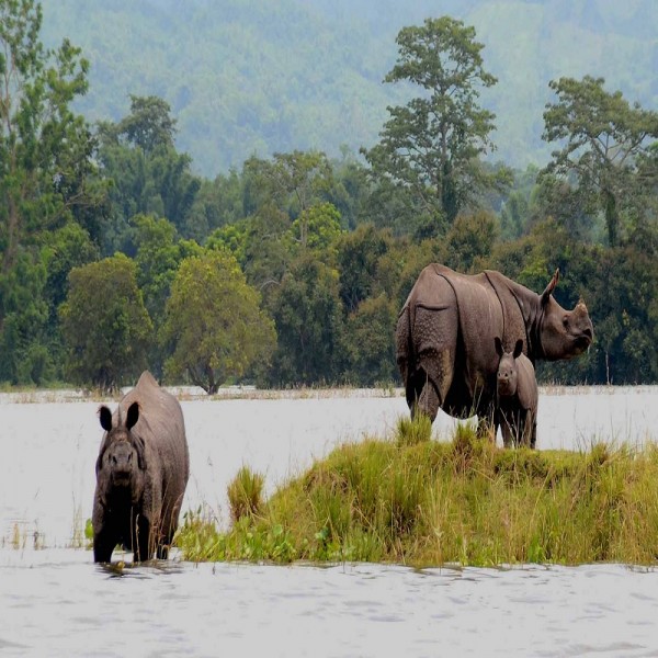 Kaziranga With Meghalaya 6N/7D